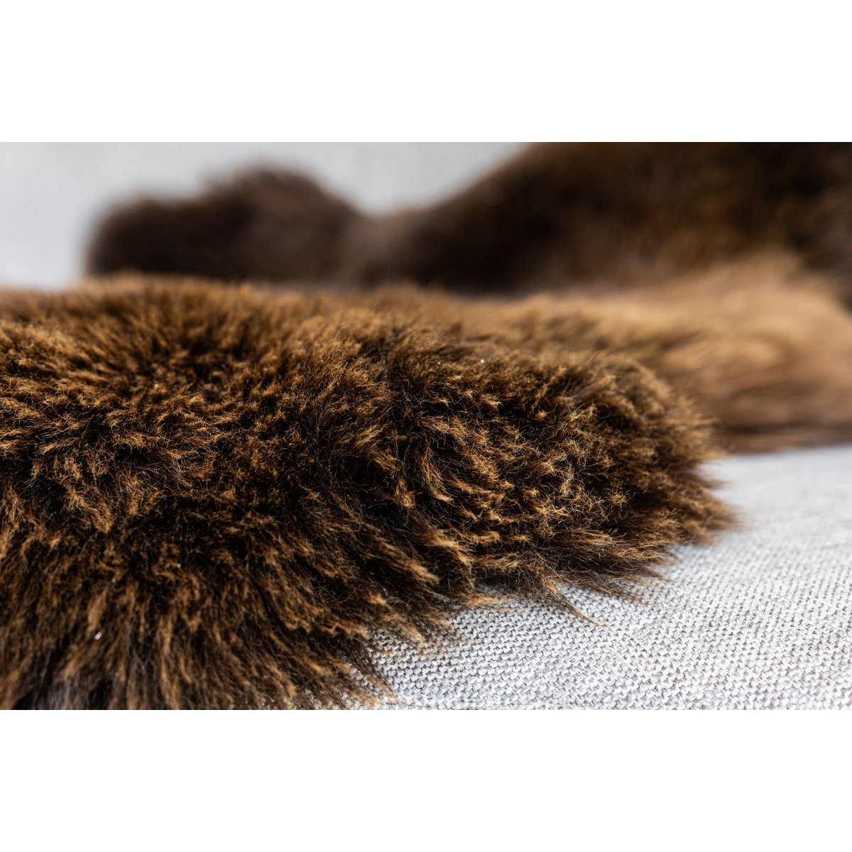 Brown Texel Schaffell | 4 Varianten