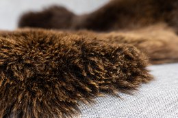 Brown Texel Schaffell | 4 Varianten