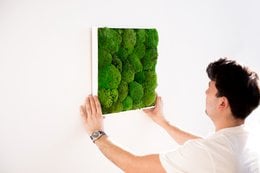 Moss Frames - Satin Black and Satin White frames with various types of moss including Ball Moss, Forest, Reindeer Moss in different colors and sizes.