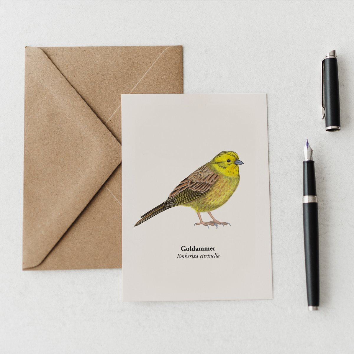 Postal de pájaros con dibujo de Goldenema, Miniprint A6 Nature