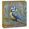 Kartenmappe - Erik van Ommen, Vögel