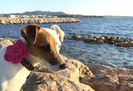 Collana "CACHOU" in bianco e nero
