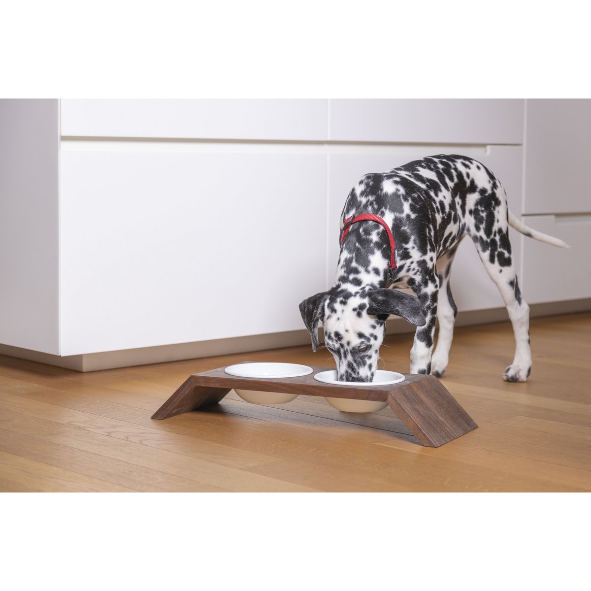 Hexagon 1/2, dog & cat feeding stand