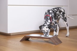 Hexagon 1/2, dog & cat feeding stand