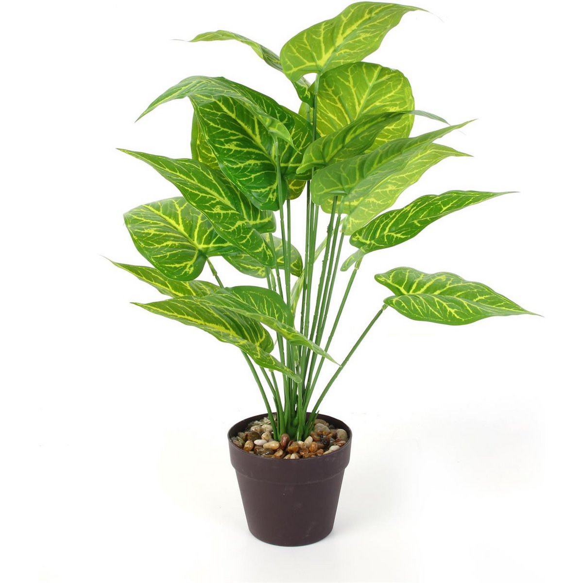 Plastica Dieffenbachia - Ø 15 x 55 cm - pianta d'appartamento tropicale - pianta falsa realistica - manutenzione - Pianta interna senza allergia - Green