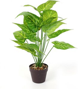 Plastik Dieffenbachia - Ø 15 x 55 cm - Tropischer Zimmerpflanze - Realistische gefälschte Pflanze - Wartung - frei und Allergie - Freundliche innere Pflanze - Grün