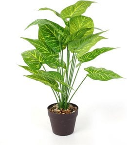 Plastik Dieffenbachia - Ø 15 x 55 cm - Tropischer Zimmerpflanze - Realistische gefälschte Pflanze - Wartung - frei und Allergie - Freundliche innere Pflanze - Grün
