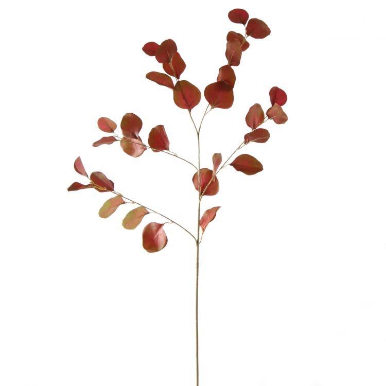 Eucalyptus - Red - 85cm
