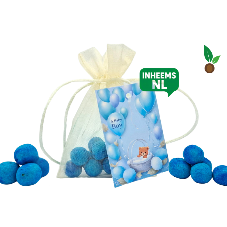 Birth boy: 15 Baby blue seed bumps in organza bag