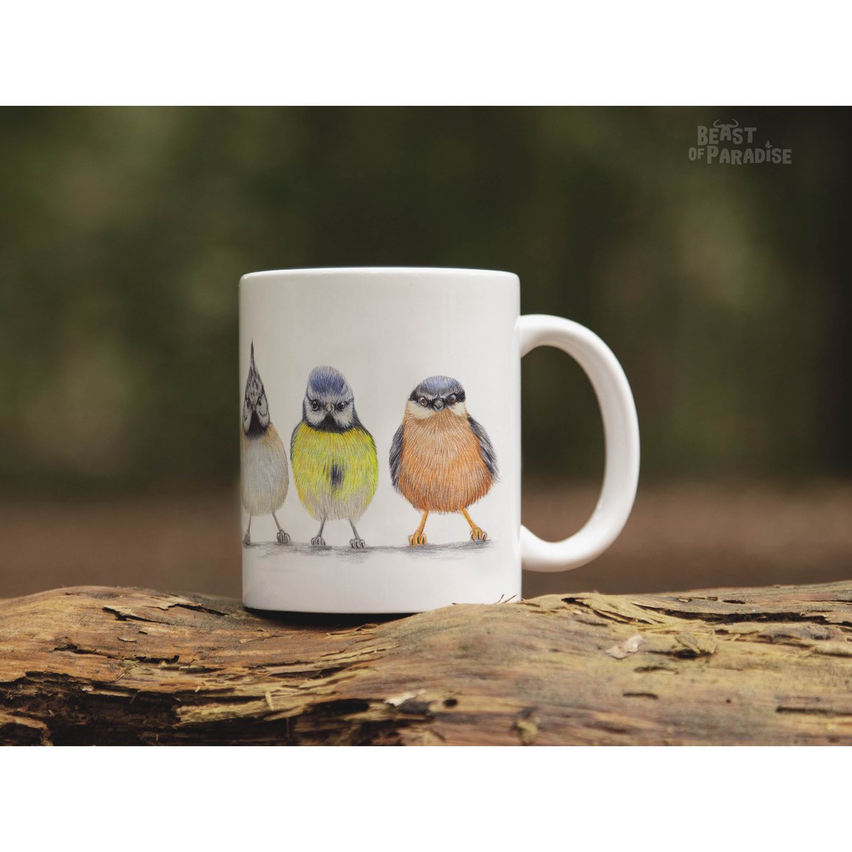 Tazza in ceramica, uccelli europei, tazze divertenti, tazze di animali