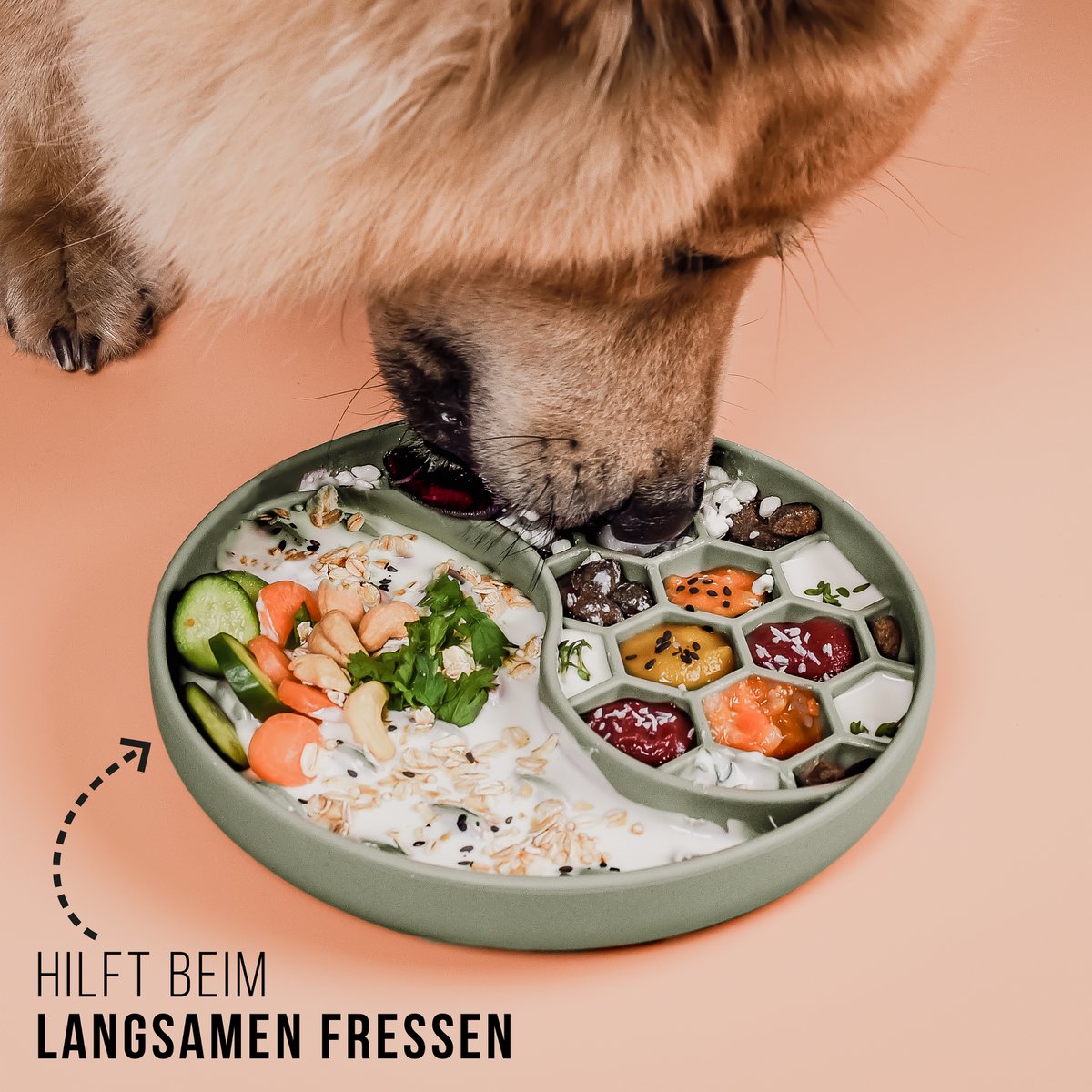 ne&no® anti-slyngeskål til hunde og katte