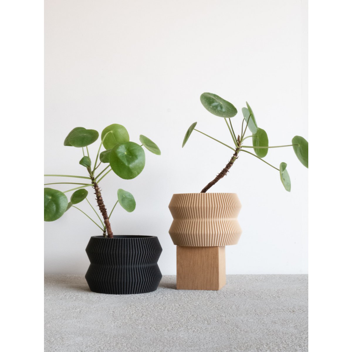 ITO Indoor Planter