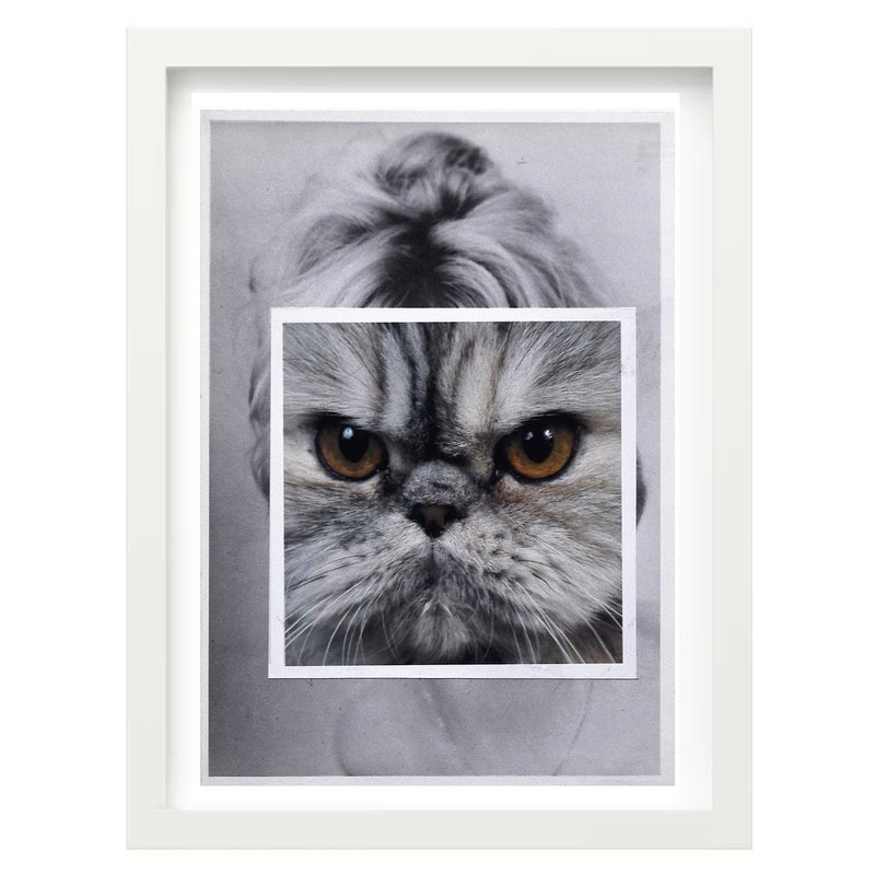 Collage di stampe artistiche | Faccia da gatto 1
