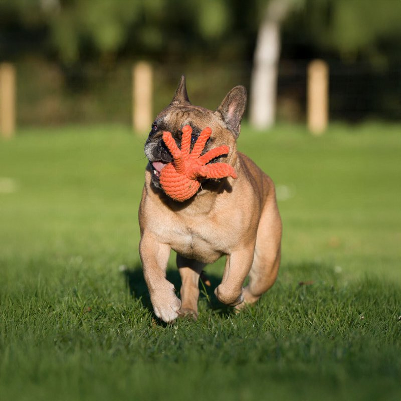 Octo Inktvis - cultspeelgoed voor honden