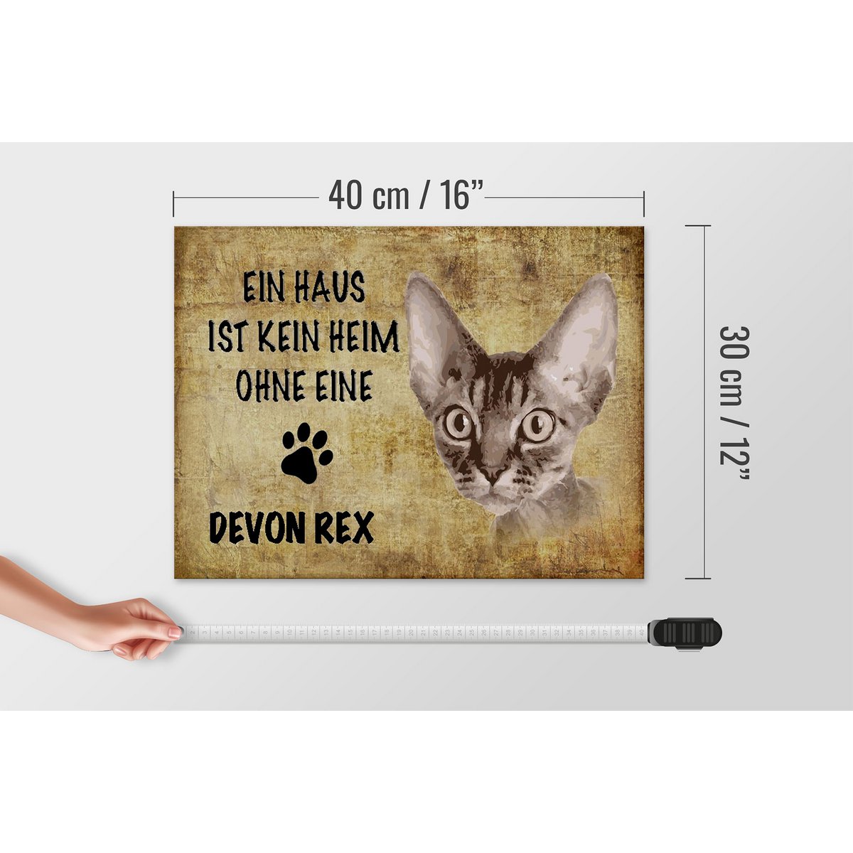 Metal sign saying 40x30cm Devon Rex cat without no home