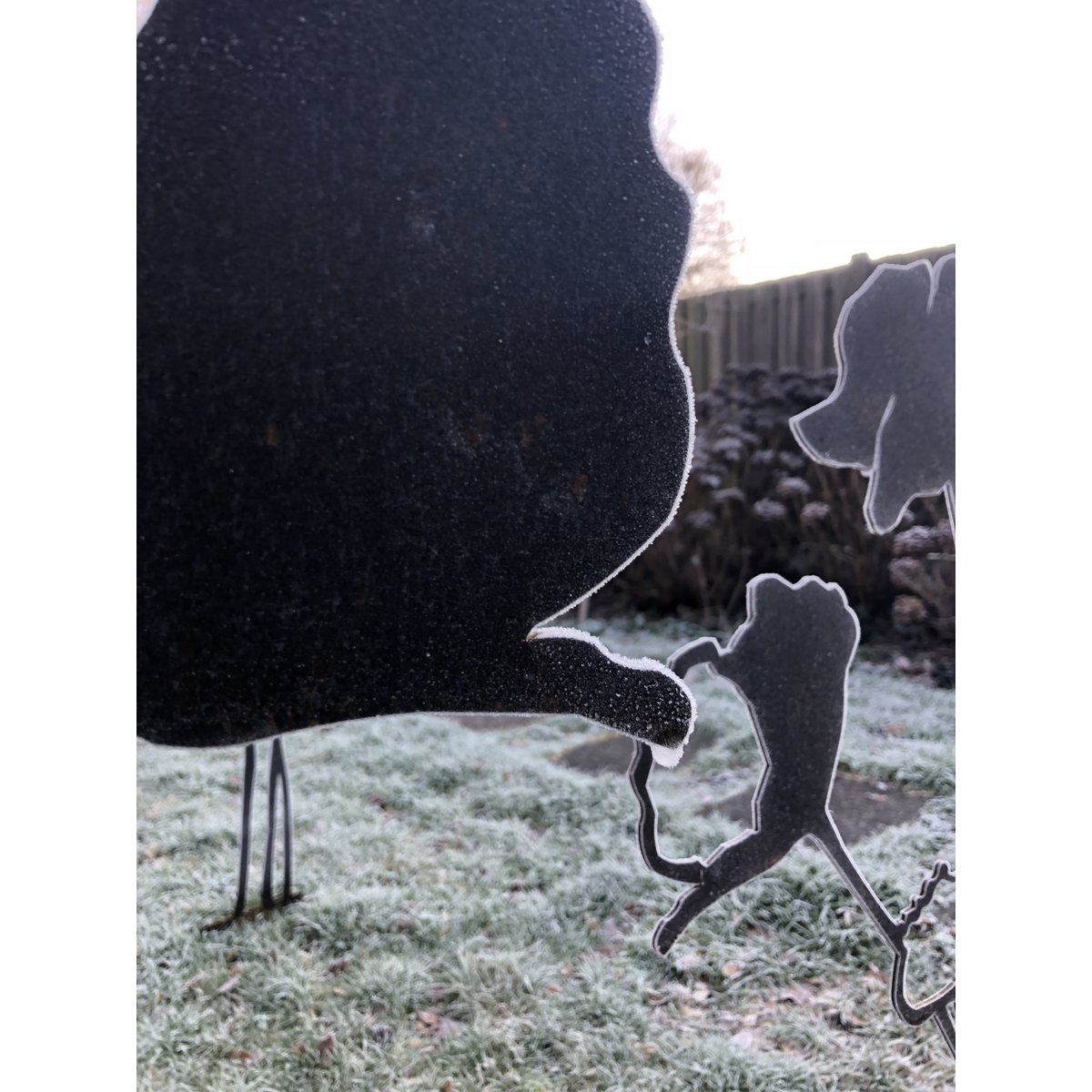 Poppy with flower bud | corten stem