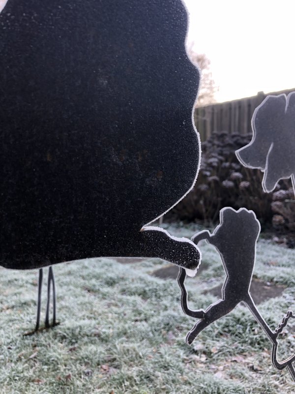 Valmue med blomsterknop | corten stål