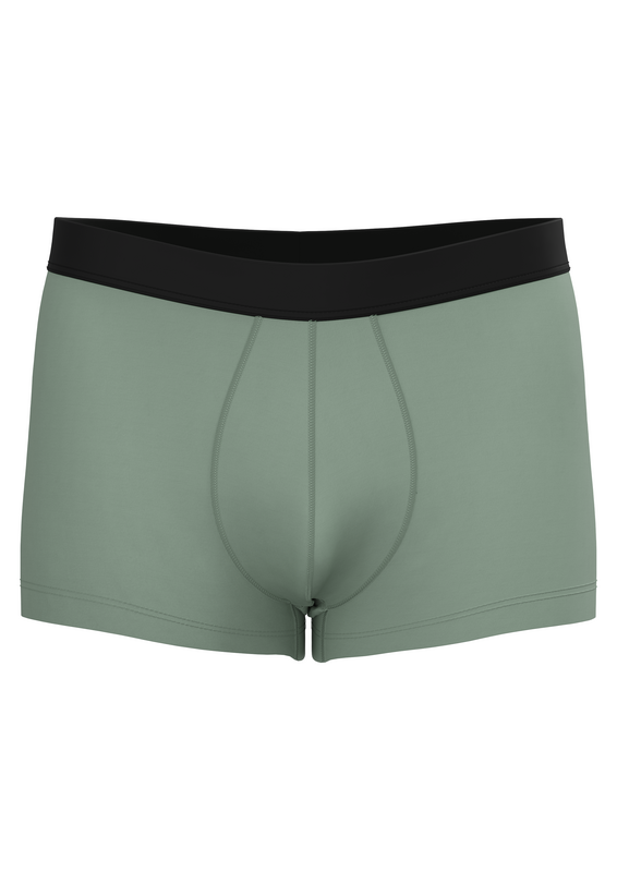 2121 | Herren Trunkshorts