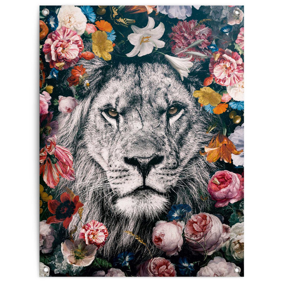 Gartendeko Gartenposter Löwe 80x60