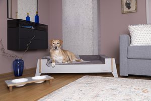 Bed Easy, Honden- & Kattenbed (MATRAS APART BESTELLEN)