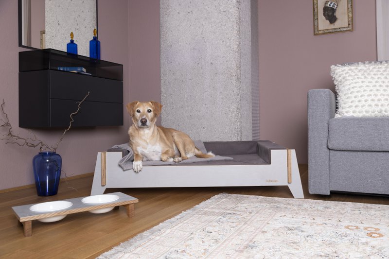 Bed Easy, Dog & Cat Bed (ORDER MATTRESS SEPARATELY)