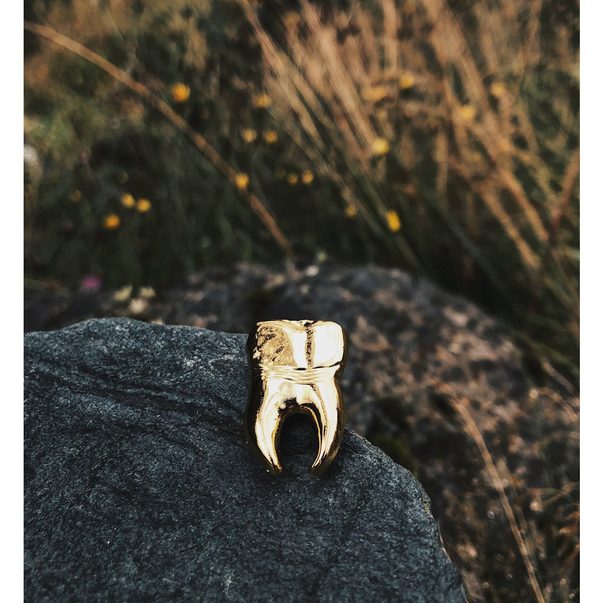 Golden Metal Pin "Tooth"