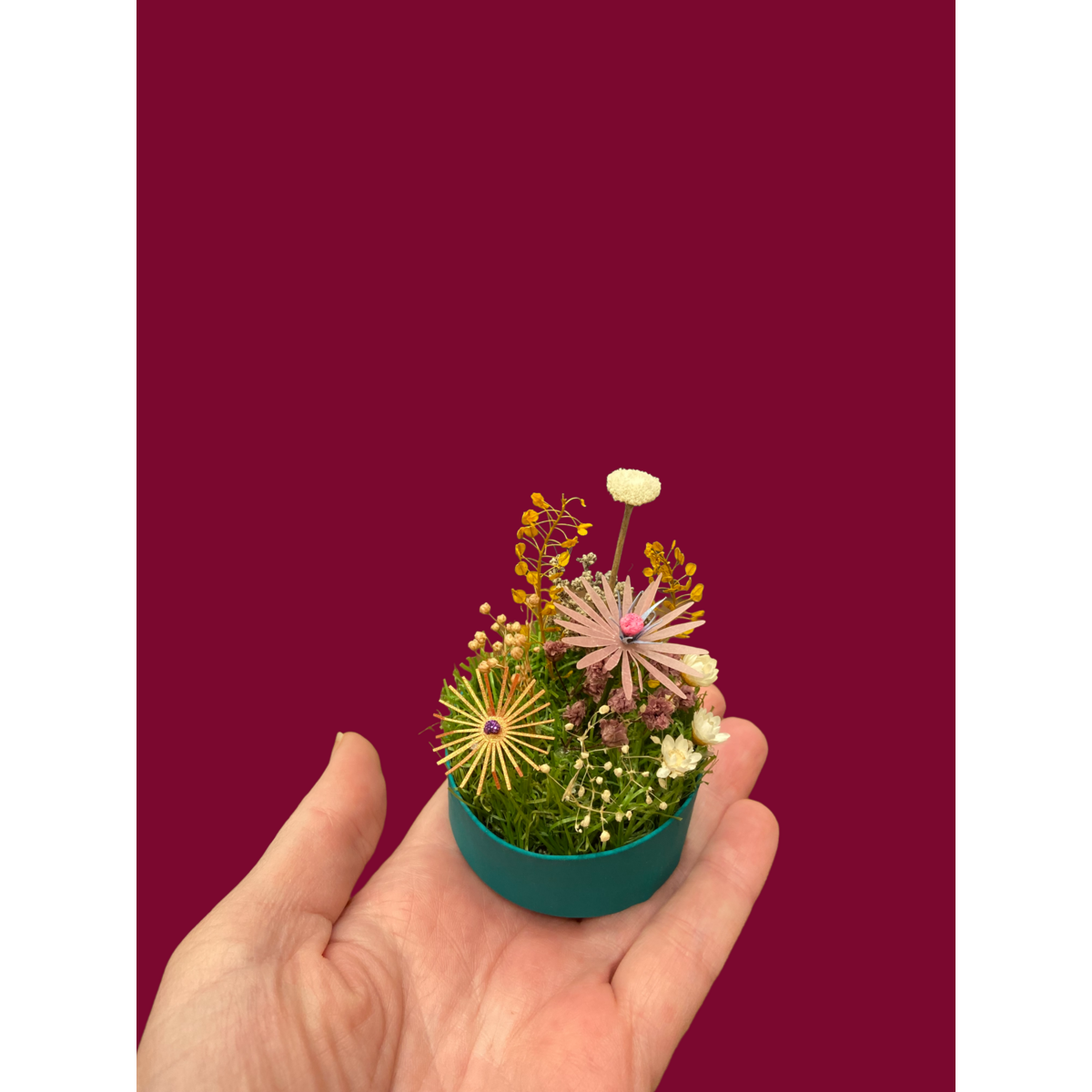 Mini jardín