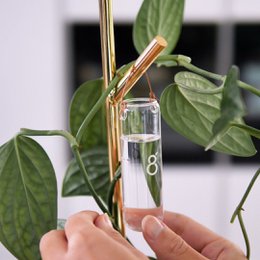 Modular plant support system with gold-colored metal branches and clips for holding plants.