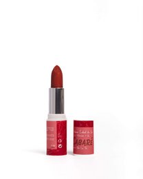 2 in 1 - Moisturizing Lip Balm + Color Lipstick with Refill