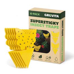 Fruit Fly Sticky Trap for Indoor and Outdoor - 6pcs