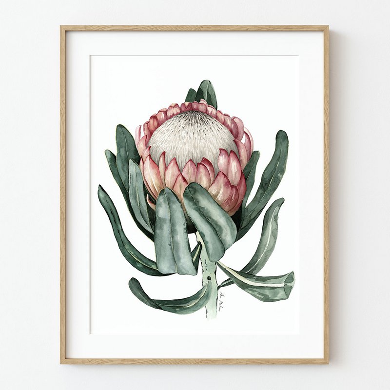 Prothea Flower Art Print