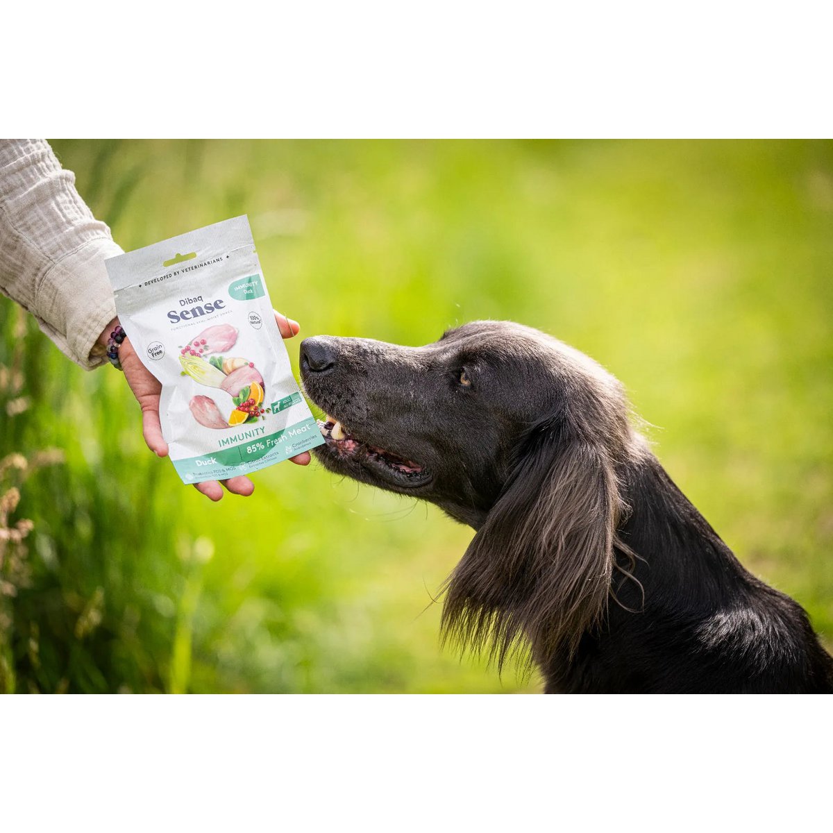 DIBAQ SENSE Immunité Canard 100g