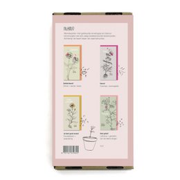 Cadeaubox wenskaarten met zaden 'Vrolijkheid'
