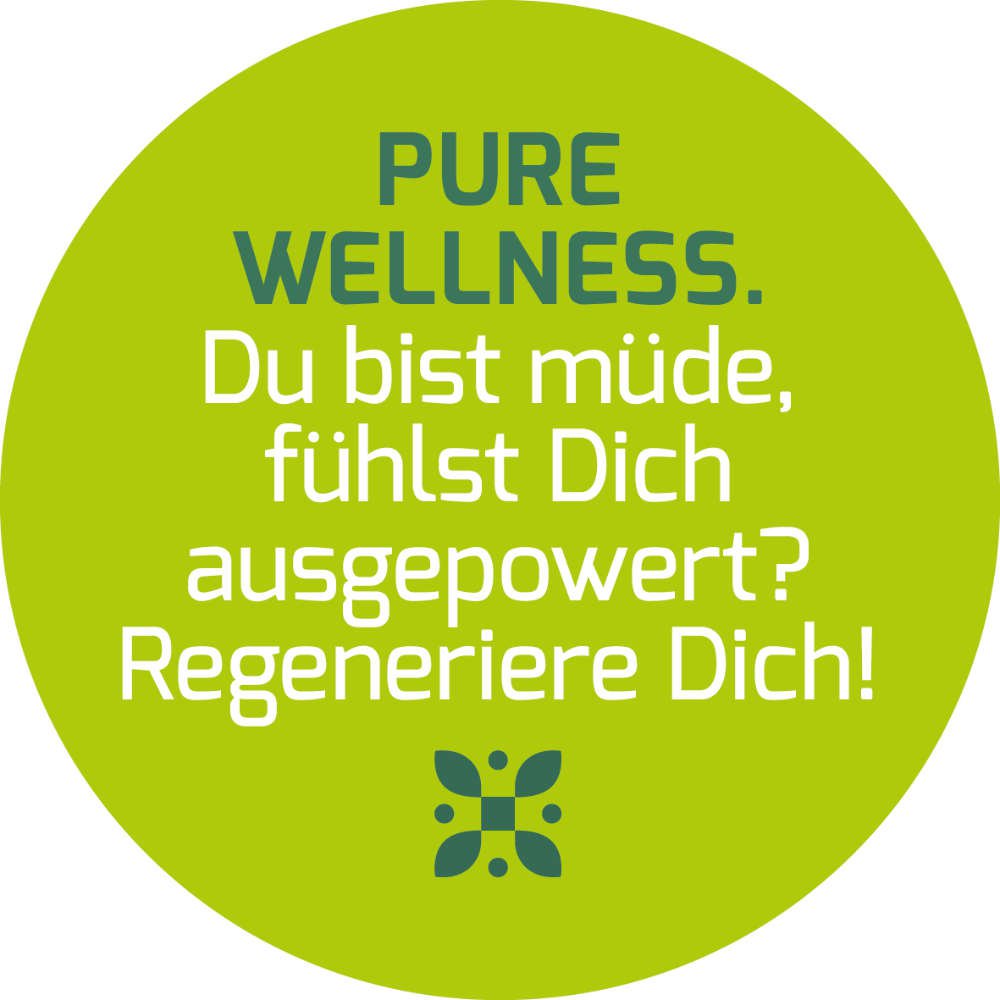 Ingwer & Aronia (Pure Wellness) - Bio Superfood Tee