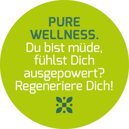 Ingwer & Aronia (Pure Wellness) - Bio Superfood Tee