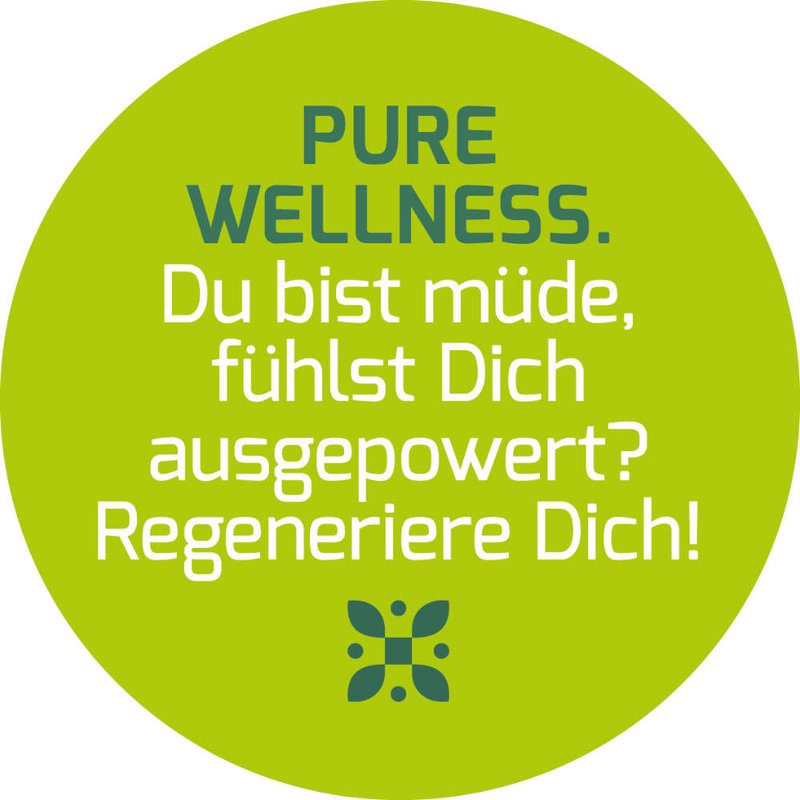 Ingwer & Aronia (Pure Wellness) - Bio Superfood Tee