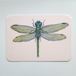 Colorful dragonfly illustration on a postcard with a simple, minimalist design.