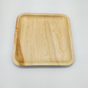 Assiette Carrée à Diner - Lot de 10