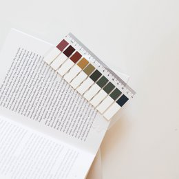 Mystic Autumn | Ordinate Farbverlauf Morandi Sticky Notes | Index Sticky Notes mit Lineal | Seitenmarkierer | Sticky Tabs | Büro Studium Schulplaner | Markierung Sticker