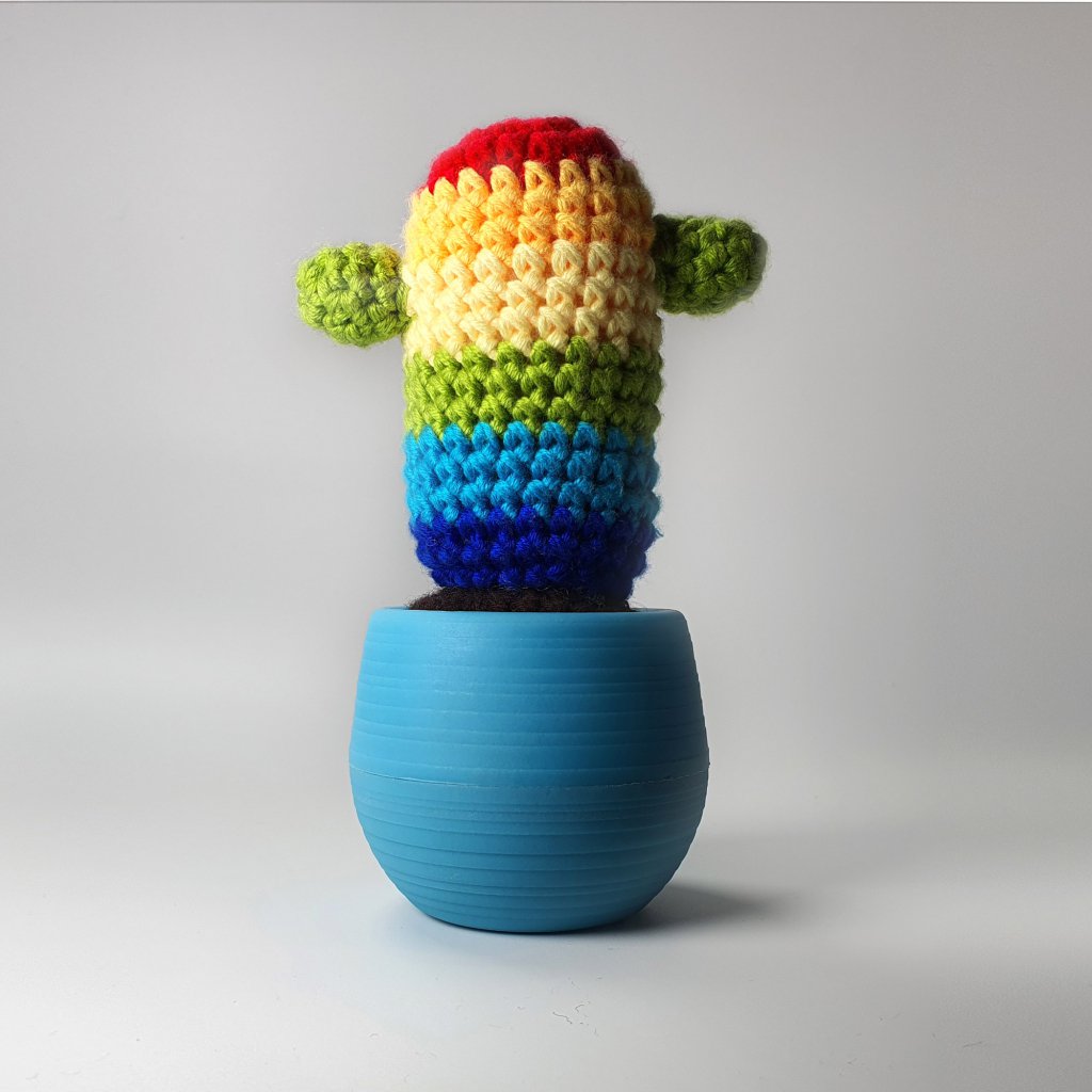 Senfhakenpaket - Kaktus Regenbogen