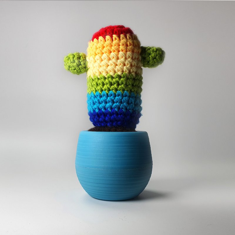 Senneps krogpakke - Cactus Rainbow