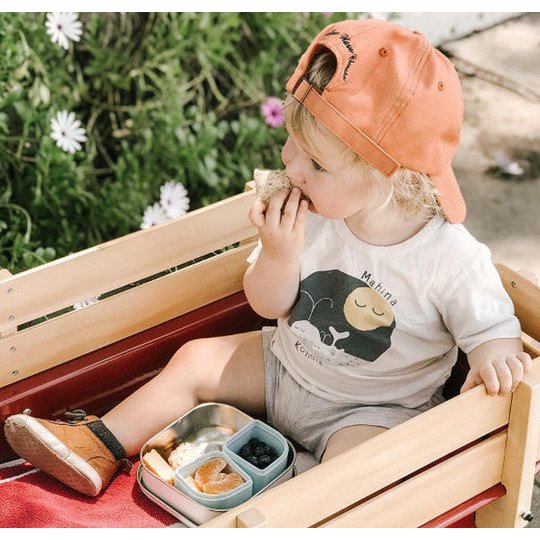 GrowBento - boîte à lunch & silipodes