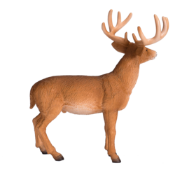 Mojo Woodland Toys White -tail Dhert Bok - 387038