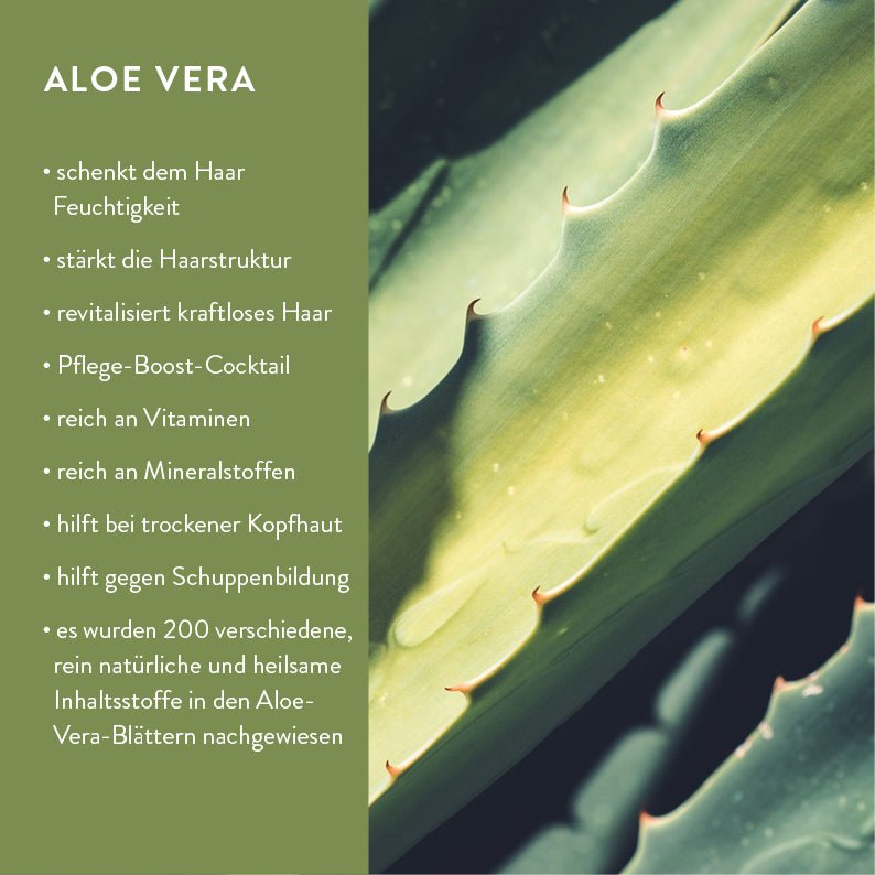 Startset biologische shampoo, conditioner, hand & body wash inclusief navulflessen van vloeibaar hout
