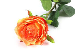 Kunstbloem Rosa oranje- L8B8H70CM
