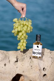 Neolea Weißer Balsamico-Essig 250 ml