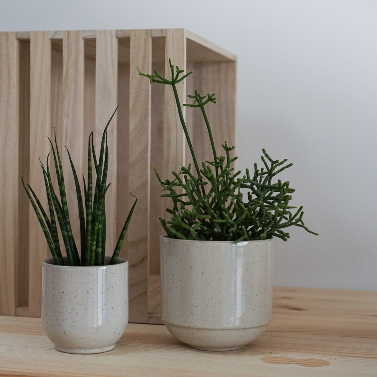 Hollyhock mug - sand & speckles - 200 ml