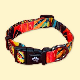 Tropical dog collar