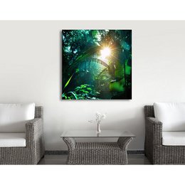 Acrylglasbild - New Life