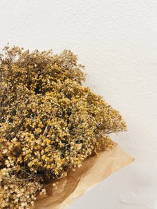 Besenblüte natürliche getrocknete Blumen